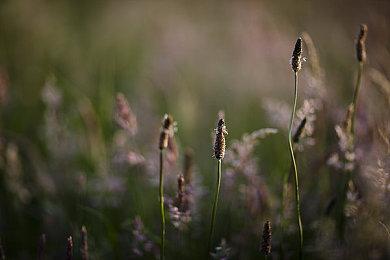 《星际战甲》新开放世界“双衍悖论”更新4月推出